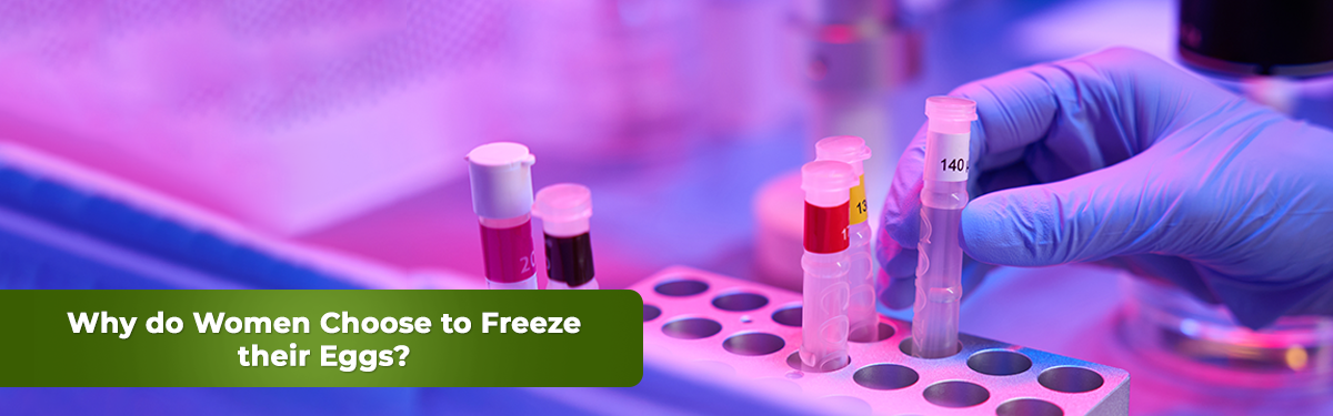 This is an image of laboratory where women's eggs are freezing for fertility treatment