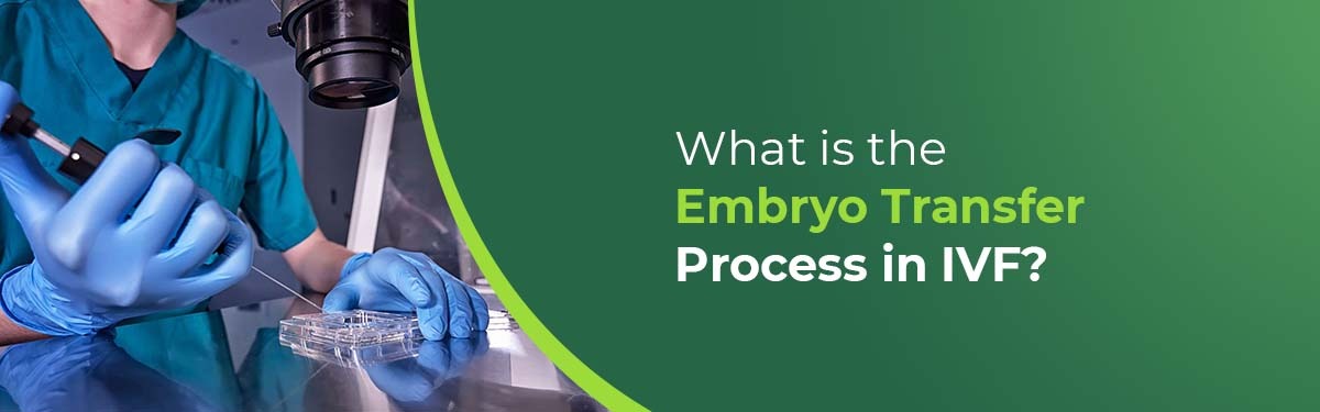 Embryo Transfer Process in IVF