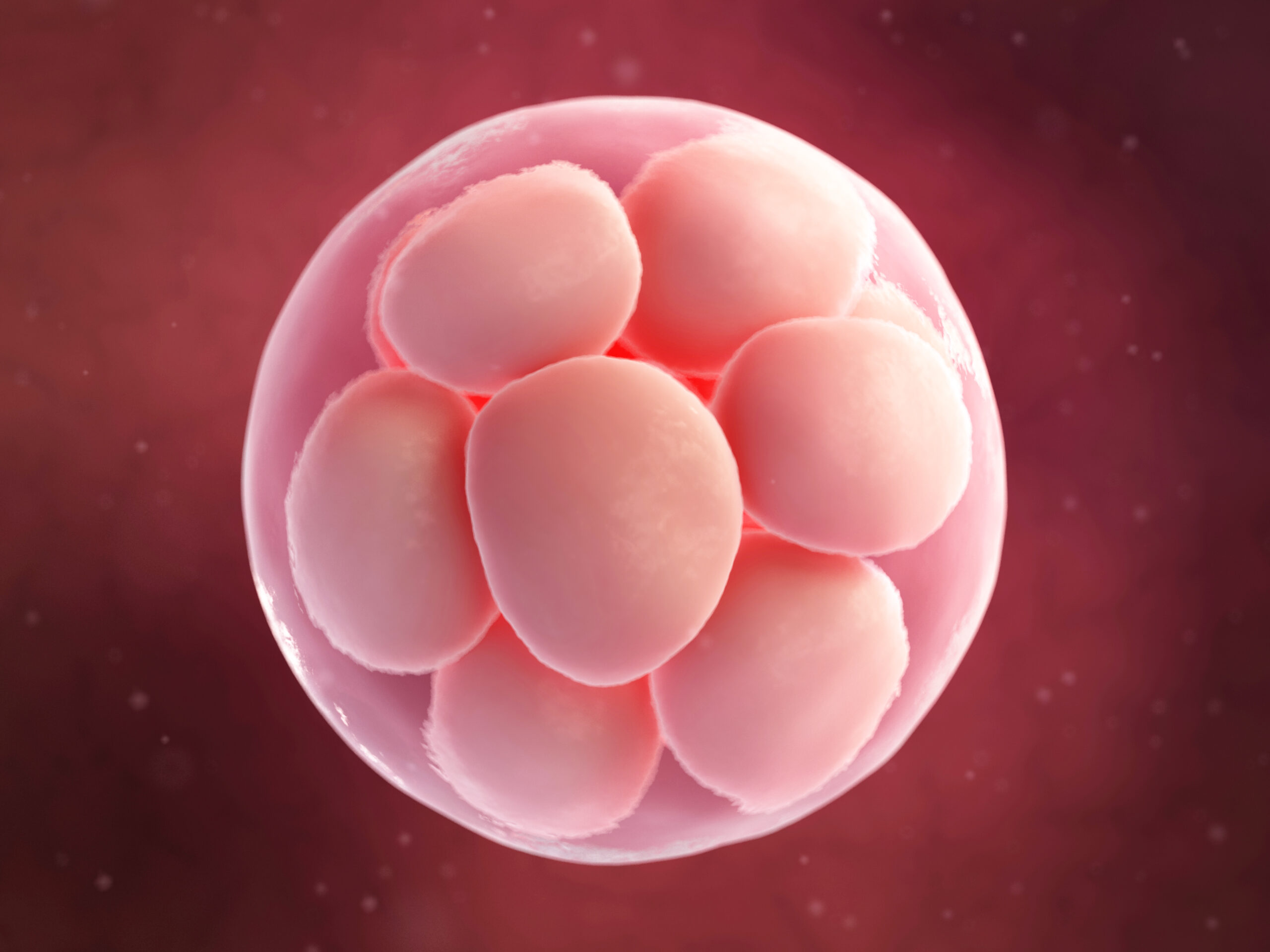 best fertility clinic in Kolkata