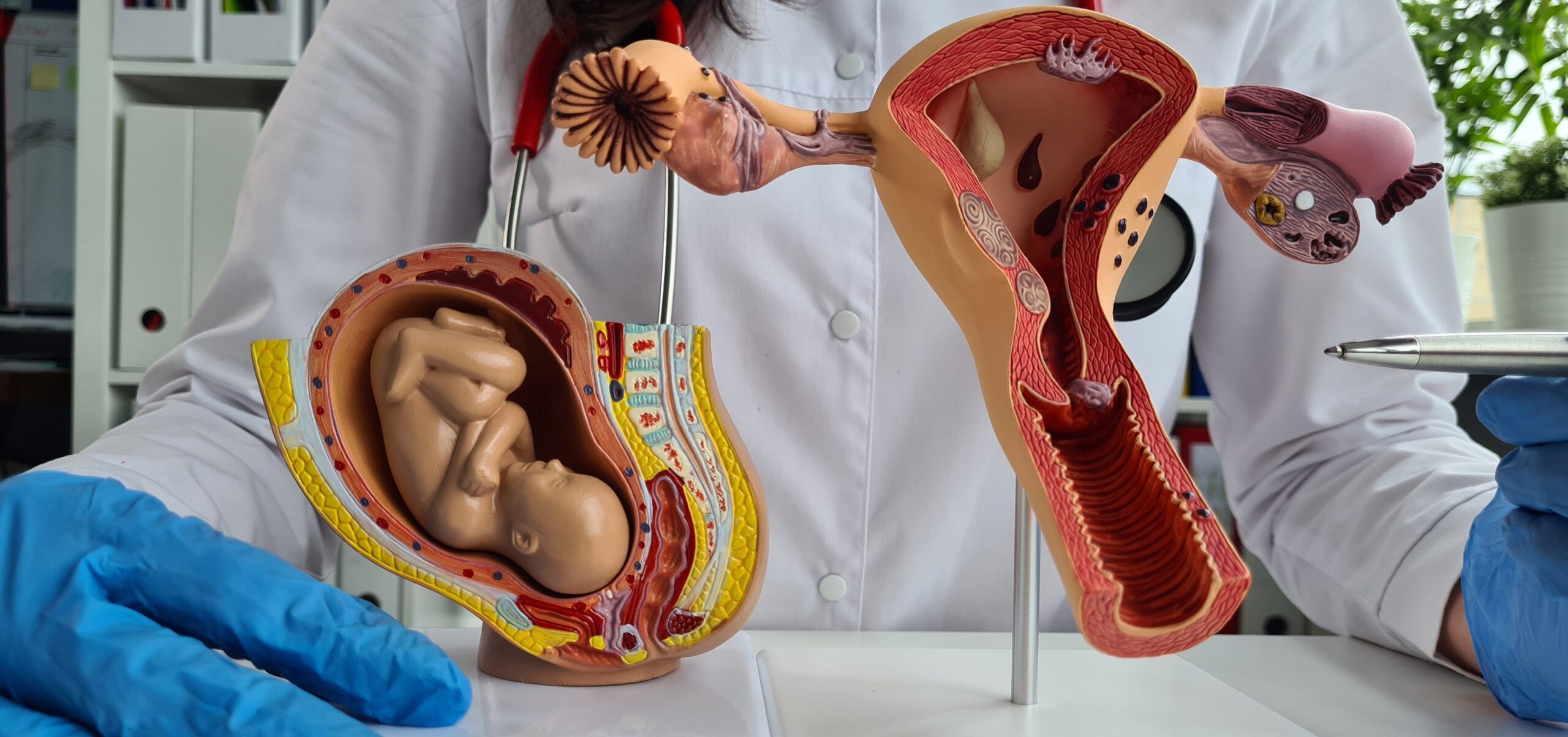 fertility education
