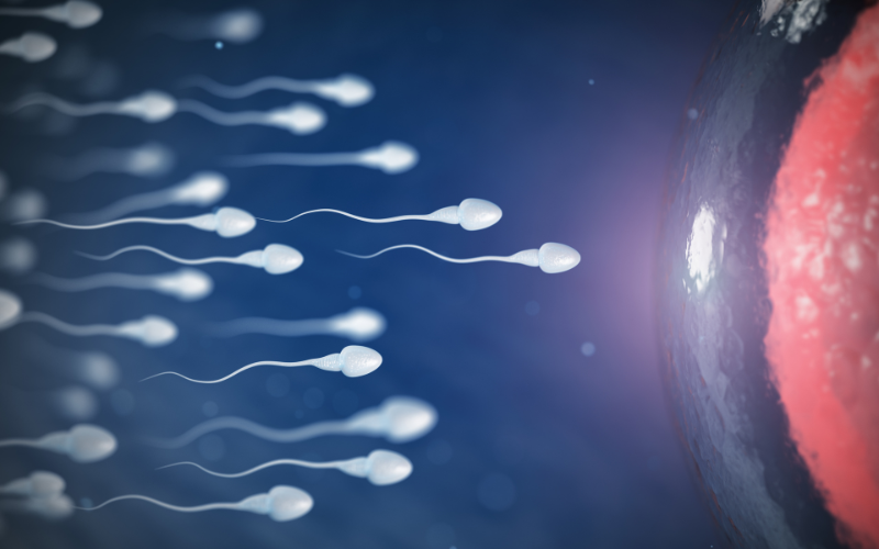 sperm banking