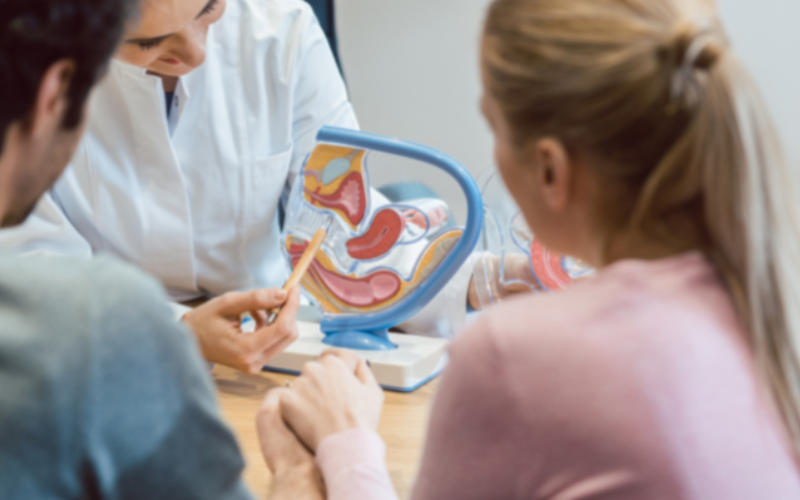 lifestyle affects fertility in your 30s