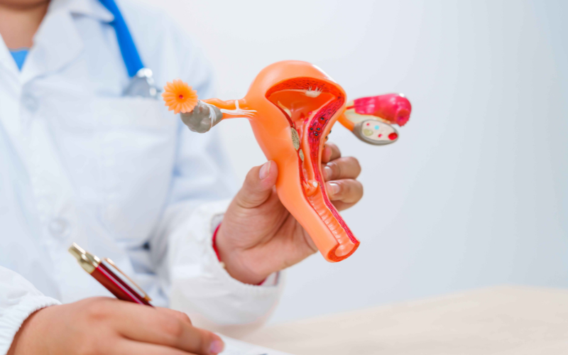fertility treatment