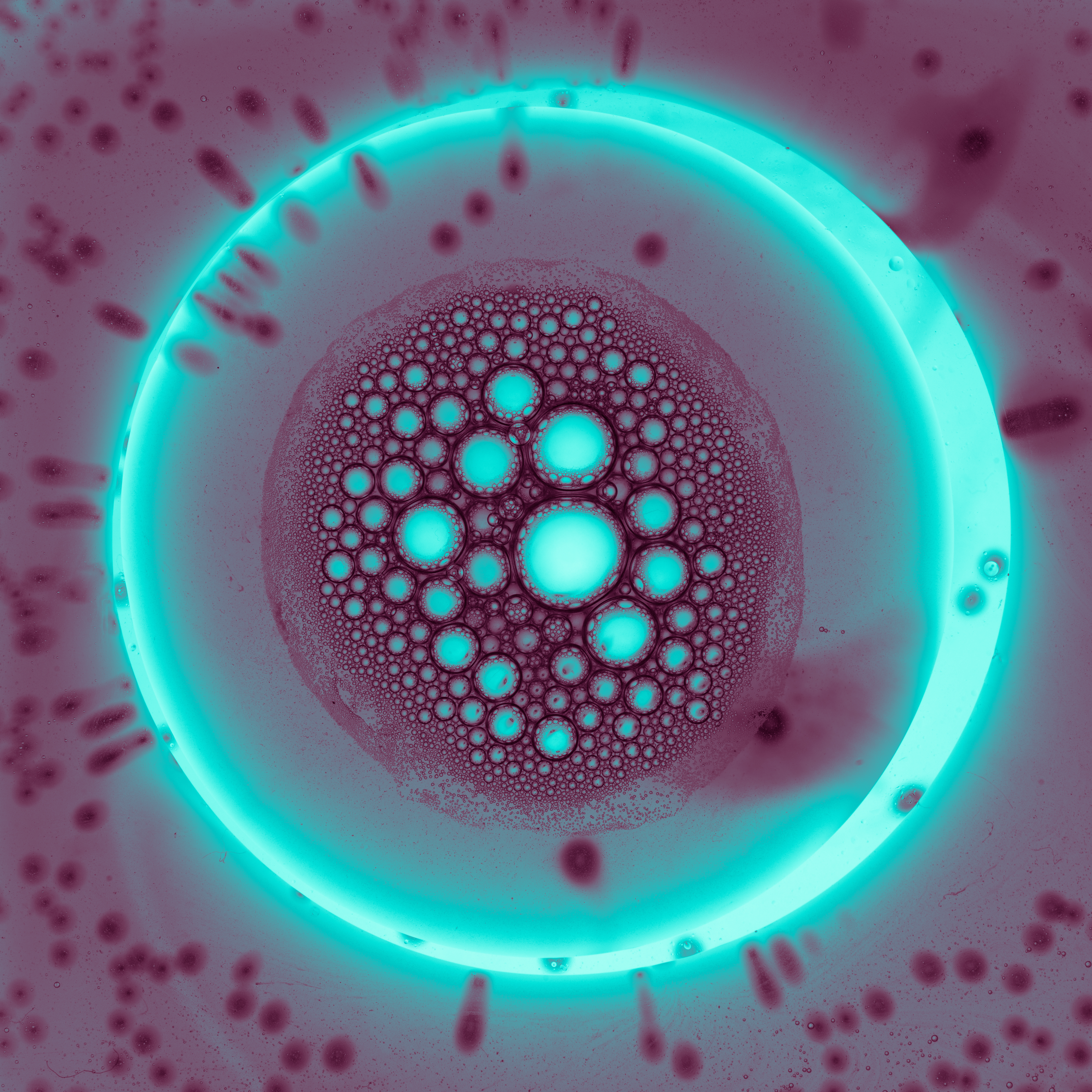 blastocyst treatment in kolkata