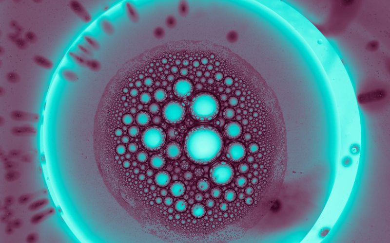 blastocyst treatment in kolkata