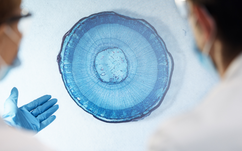 best ivf centre in kolkata
