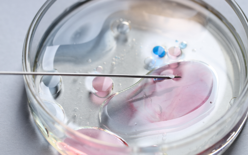 ivf treatment patna